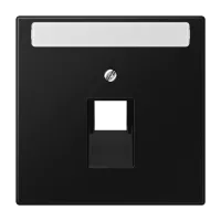 Накладка на розетку информационную ABB BASIC55, скрытый монтаж, château-black, 2CKA001753A0207