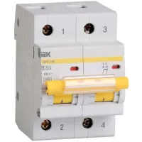 Автоматический выключатель IEK ВА 47-100 2P 32А (C) 10кА, MVA40-2-032-C