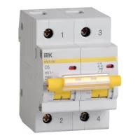 Автоматический выключатель IEK ВА47-100 2P 6А (C) 10кА, MVA40-2-006-C