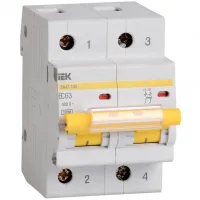 Автоматический выключатель IEK ВА47-100 2P 40А (C) 10кА, MVA40-2-040-C