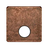 Накладка TV розетки с 1-м разъемом Fede Rustic copper бежевый