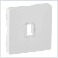 Накладка на розетку USB Legrand VALENA LIFE, скрытый монтаж, белый, 754750