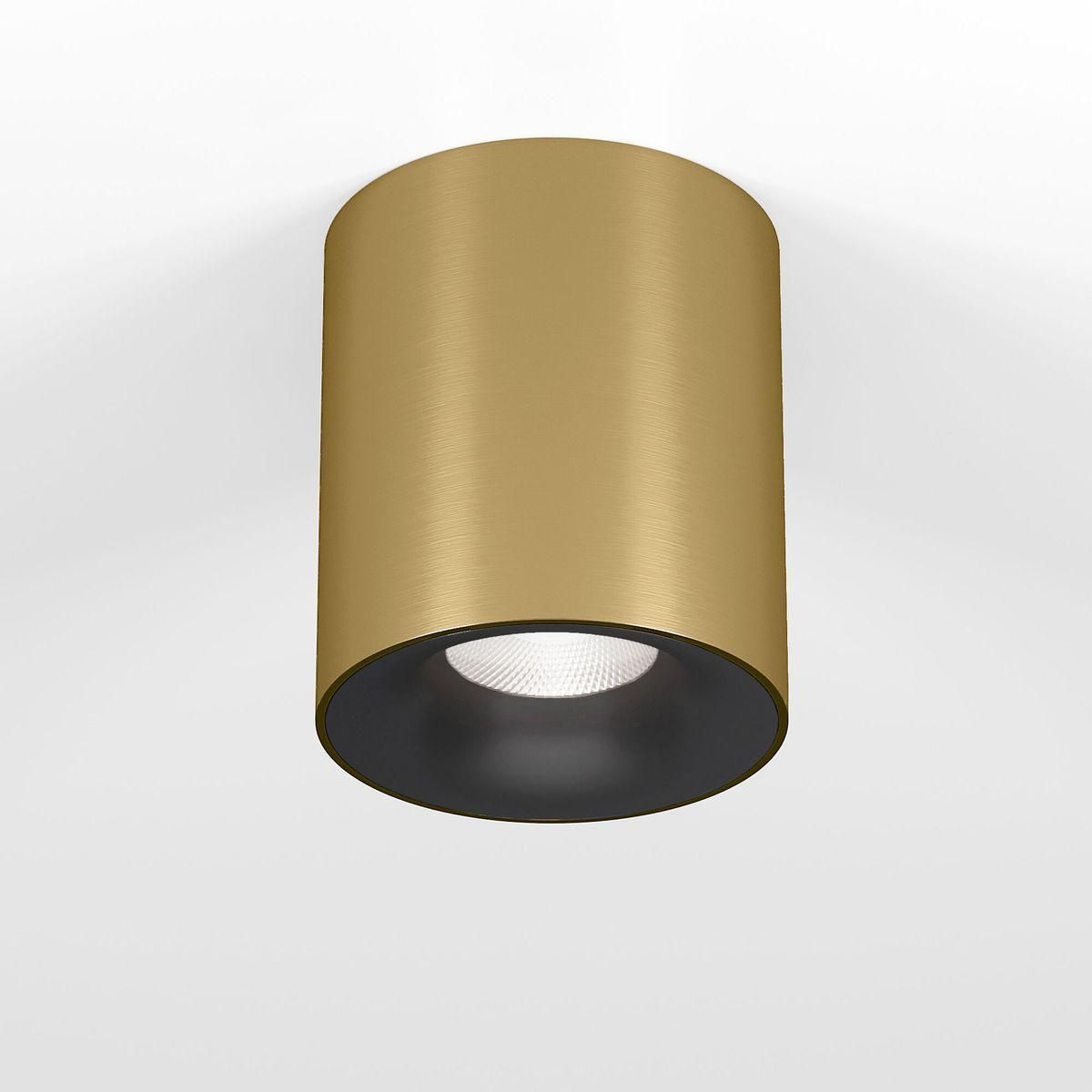 Потолочный светодиодный светильник Elektrostandard Primo 25116/LED a069414