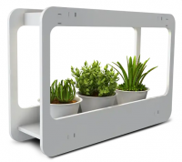 Изображение загружено из каталога картинок. //***VAD***//