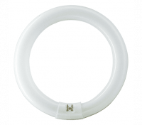 Изображение загружено из каталога картинок. //***VAD***//