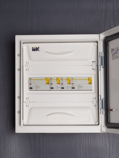 Выключатель дифференциальный (УЗО) ВД1-63 2Р 25А 100мА IEK