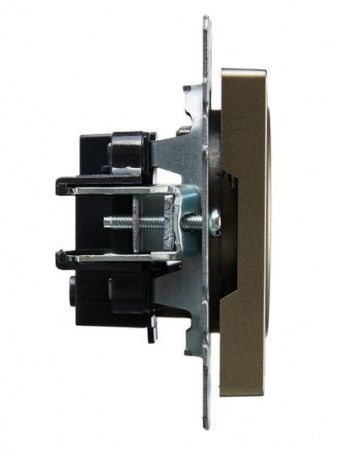 BRITE Розетка без заземления/крышки/шторок 10А РС10-1-0-БрШ шампань