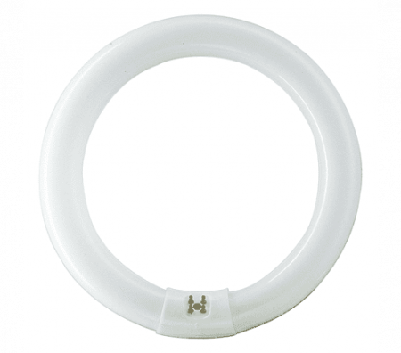 Изображение загружено из каталога картинок. //***VAD***//