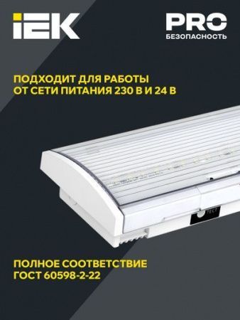 Светильник аварийный ДПА 5040-1 постоянный 1ч IP54 IEK